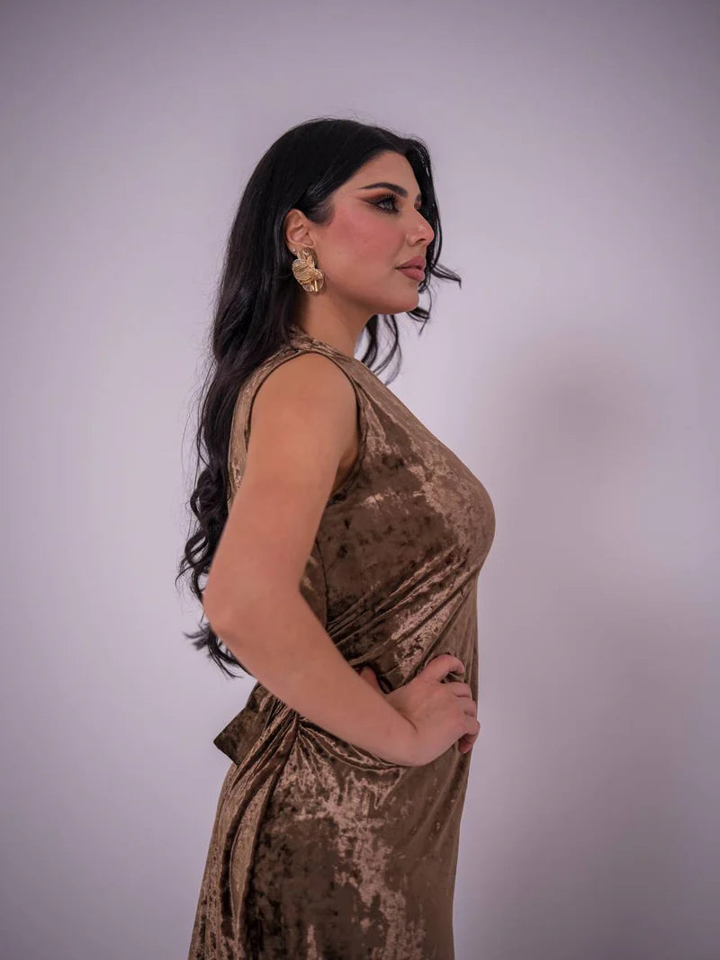 brown stretch velvet dress. C:223 Brown