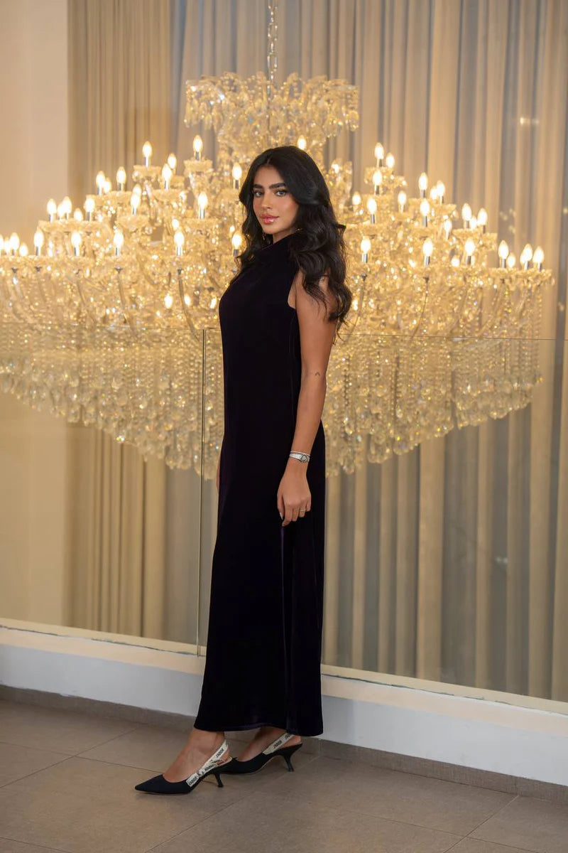 Purple velvet dress. C:221