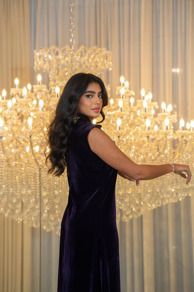 Purple velvet dress. C:221